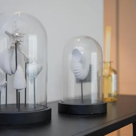 Liiiving In Gaia - Seaside