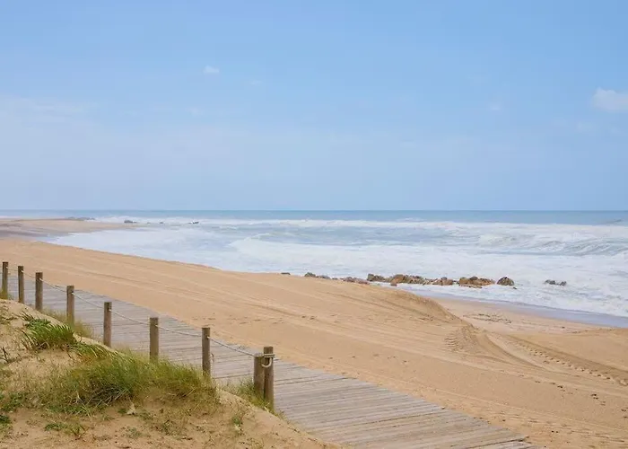 Liiiving In Gaia - Seaside *